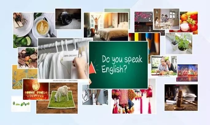 「教育」在家也能上老年大学！百门老年教育慕课上线啦