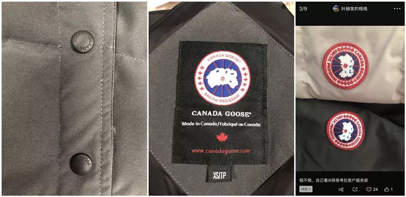 考拉自营加拿大鹅是正品吗,网易考拉和加拿大鹅