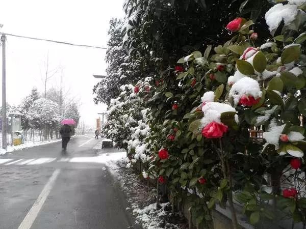 美丽乡村风景区有哪些,中国十大最美乡村的特点