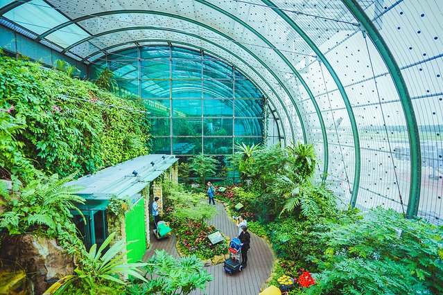 樟宜机场出境攻略,樟宜机场游玩攻略