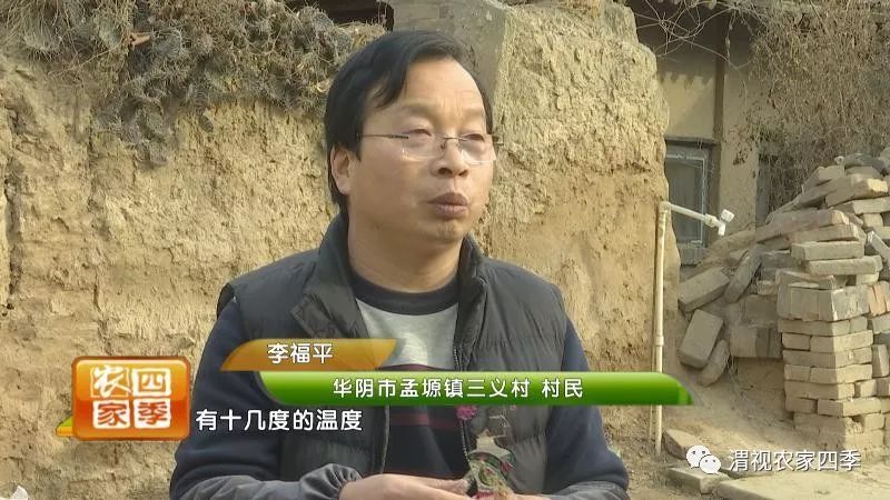 李福平的作品,李福平皮影工作室