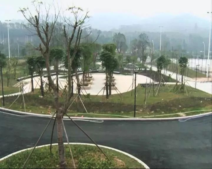 中山新增公园地址,中山紫马岭公园今年春节开放吗