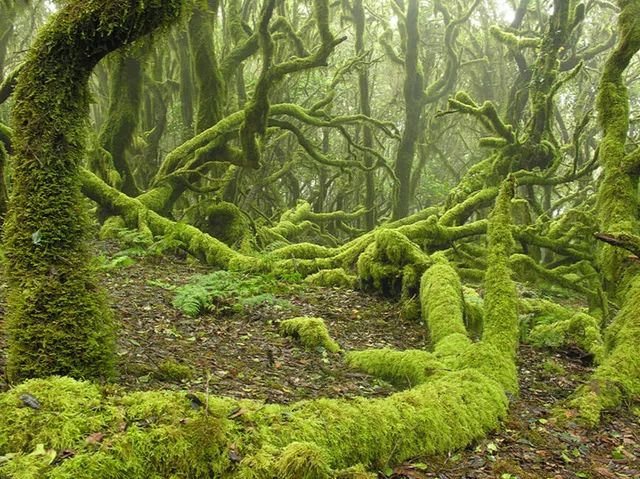 西班牙十大景点,西班牙十大风景名胜