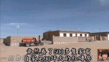 这位日本女人嫁到内蒙古牧区只为和丈夫在沙漠上种树