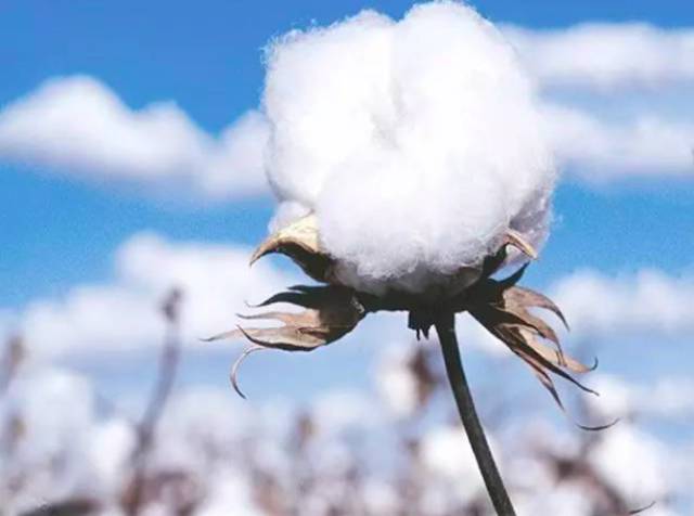 618年中大促床品换季清仓,618买床品划算吗