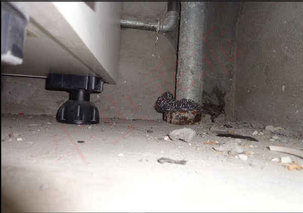 房间里进了老鼠什么办法抓最好,住高层老鼠怎么消灭