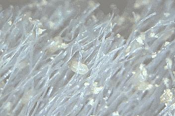 《都挺好》：女人一生中最该做的事情，是对自己好