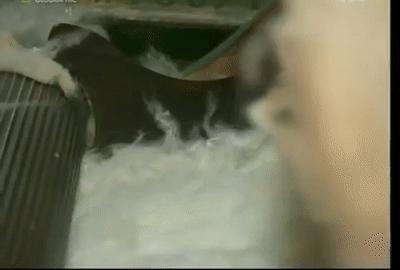 为什么塑料瓶可以卖钱,塑料瓶和塑料袋能做衣服用吗