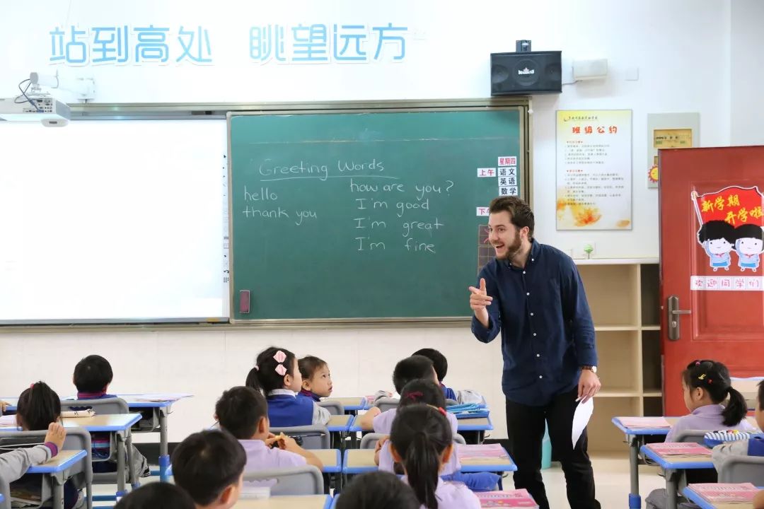 滨江区有哪些好的学校,滨江区最好的小学排名