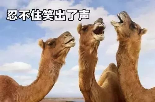 单身率高的十大行业,十大单身率最高的专业