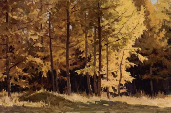 中国写实画家排名,中国写实派画家第一人