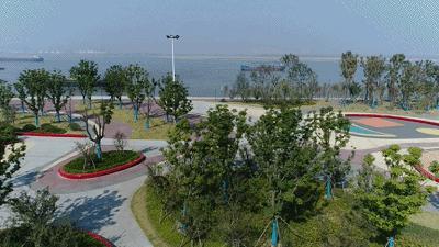 天呐!武汉这个区开挂了!反正我是羡慕了!