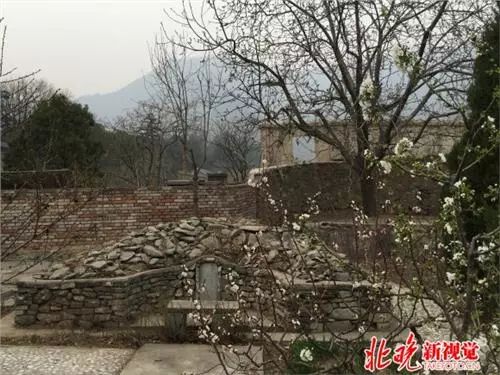 走近巨匠|萧友梅家族墓地藏身香山脚下四代人守护墓地近百年