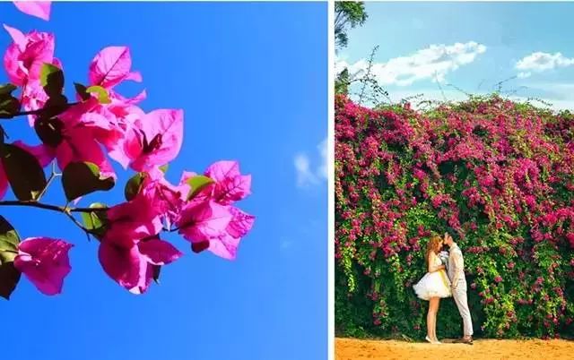 火速收藏!冬*你日**想要的阳光、骑行、美食美景都在这儿~