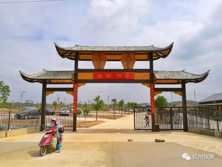 钦州春节免费景区,钦州春节期间旅游景点推荐