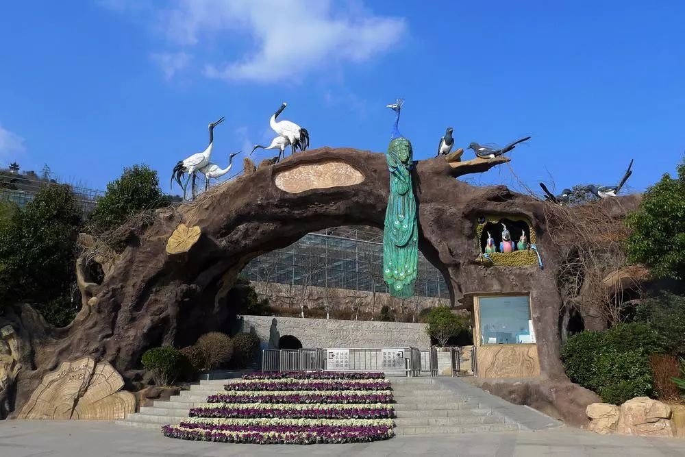 石老人观光园有限公司,石老人观光园