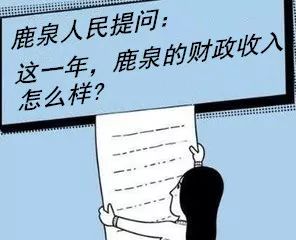 2018鹿泉的“政府帐本”来了！