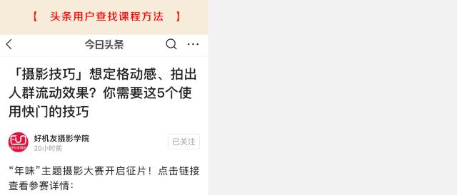 新手必须掌握的7个微距摄影技巧,光影留情谈微距拍摄技巧