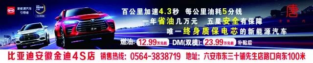 安徽六安诈骗团伙被抓,六安公安破获一起特大诈骗案