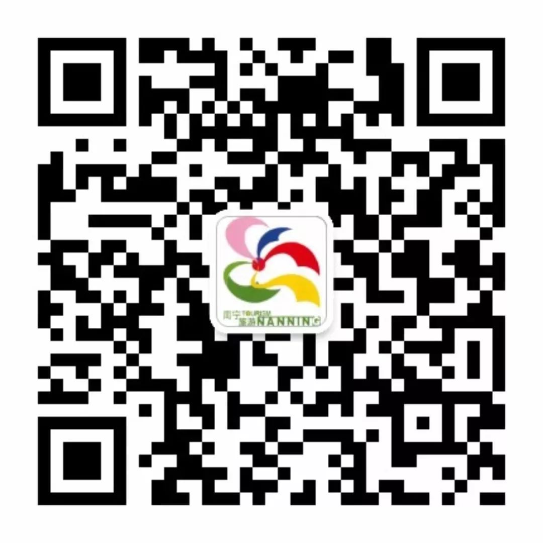 南宁花雨湖玫瑰花文化节,第四届广西玫瑰花节