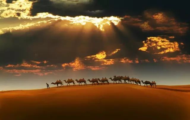 这些网上疯传的照片都是骗人的,你该知道的网络疯传的假照片