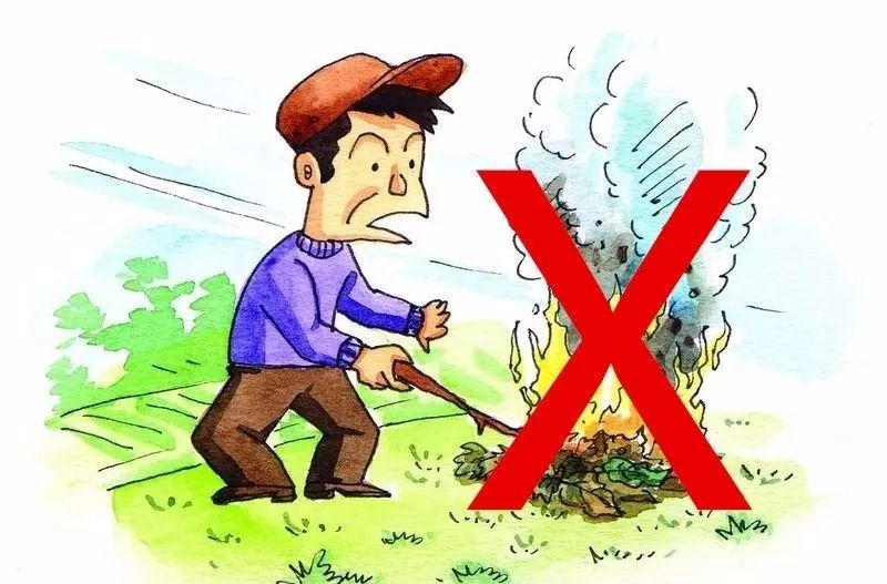 消防官兵扑灭森林大火视频,各地山火扑救情况