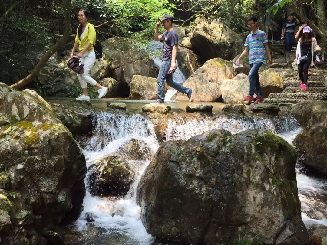 适合踏春的景点厦门,厦门春季旅游攻略