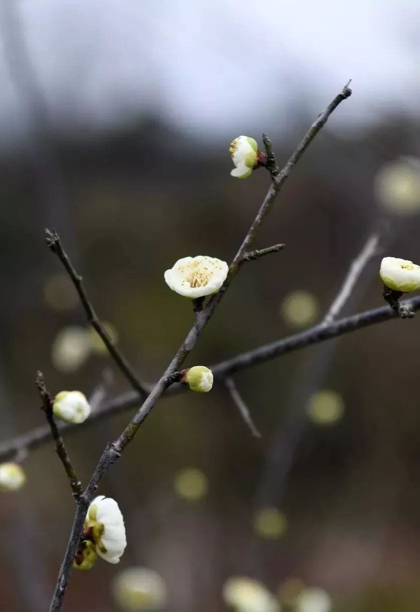 赣州最好玩的公园不要门票,离赣州最近的森林公园还有多远