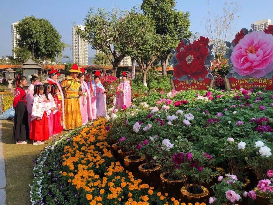 厦门同安过年旅游攻略,同安旅游攻略推荐地方