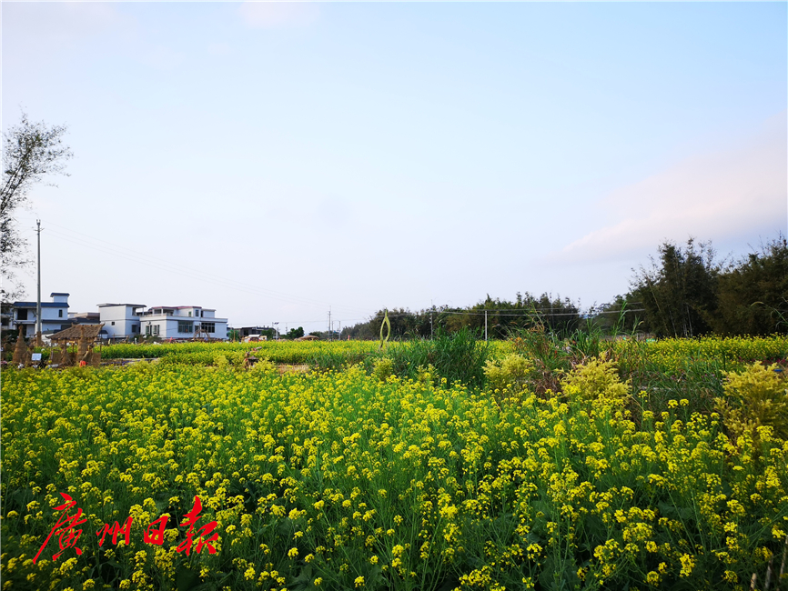 广州城中村田园风光,广州乡村原生态年味