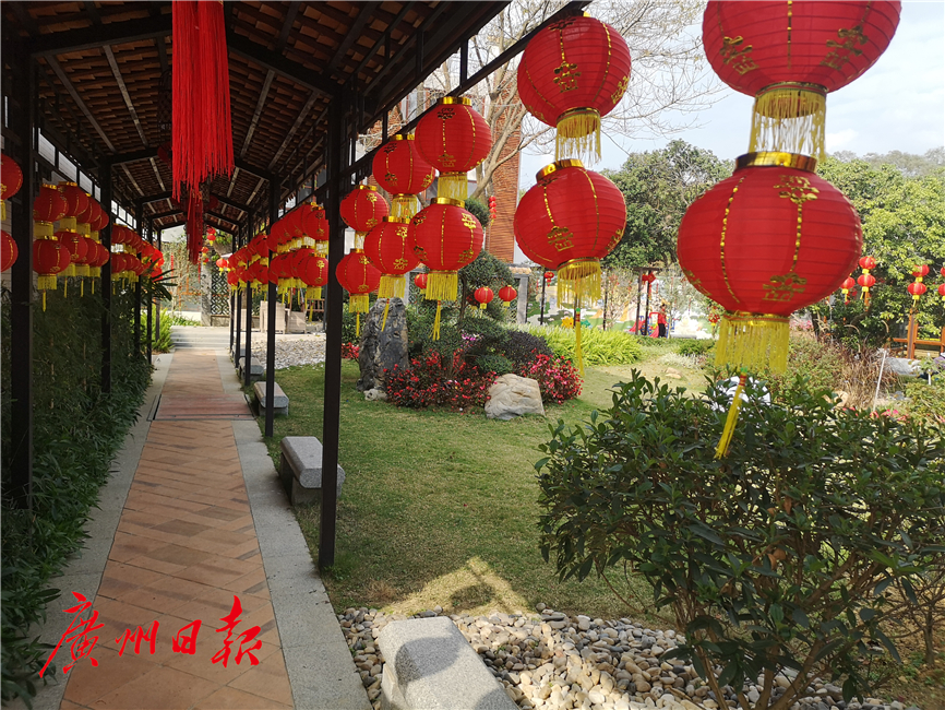 广州城中村田园风光,广州乡村原生态年味