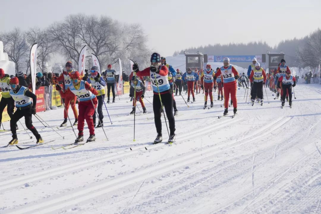 被选入国家集训队条件,被选中体育集训的学生