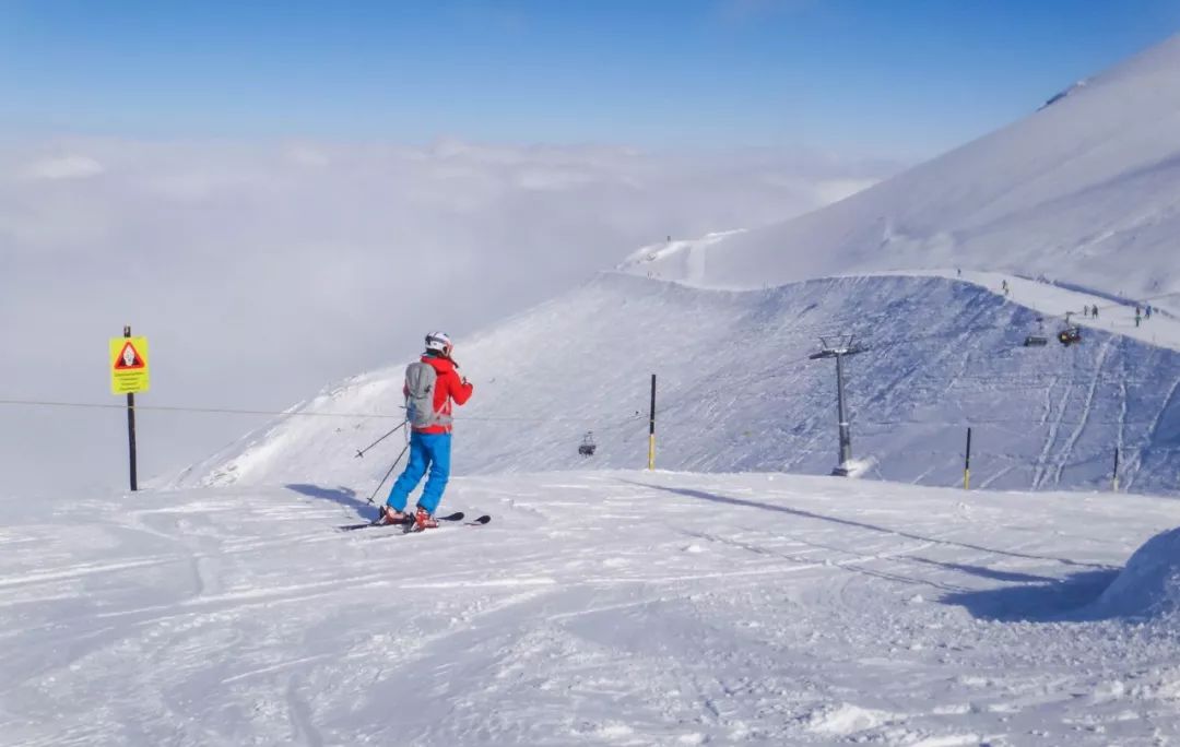 被选入国家集训队条件,被选中体育集训的学生