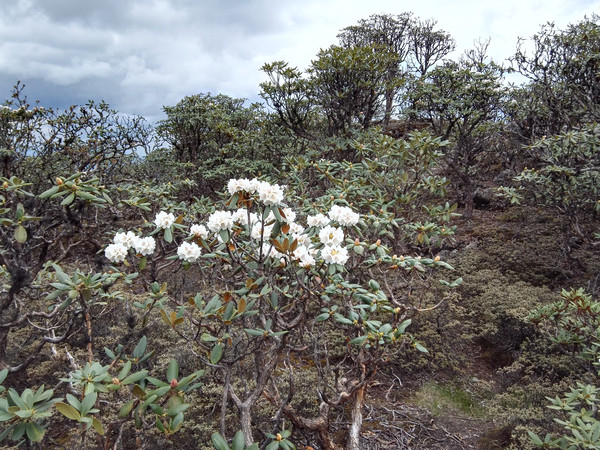 飞拉达攀岩金刀峡,老君山飞拉达攀岩有安全绳吗