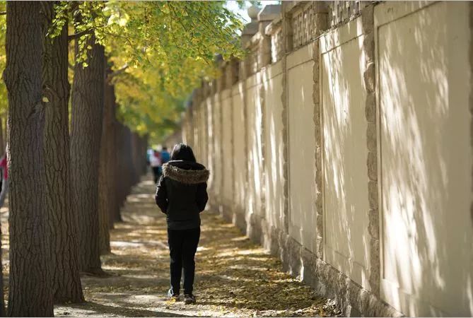 北京景点60周岁哪些免费,北京夏天旅游攻略免费景点