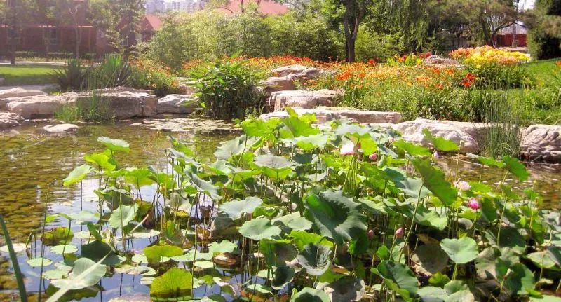 北京60岁旅游免费景点,北京爬山免费景点推荐