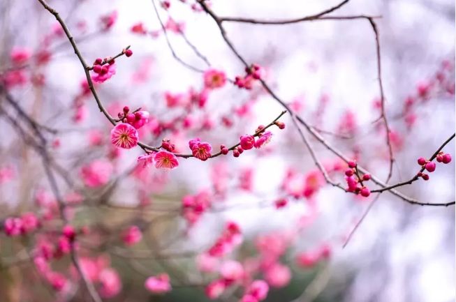 假期没玩够文旅,春节假期没有好好享受