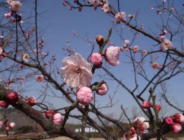 假期没玩够文旅,春节假期没有好好享受