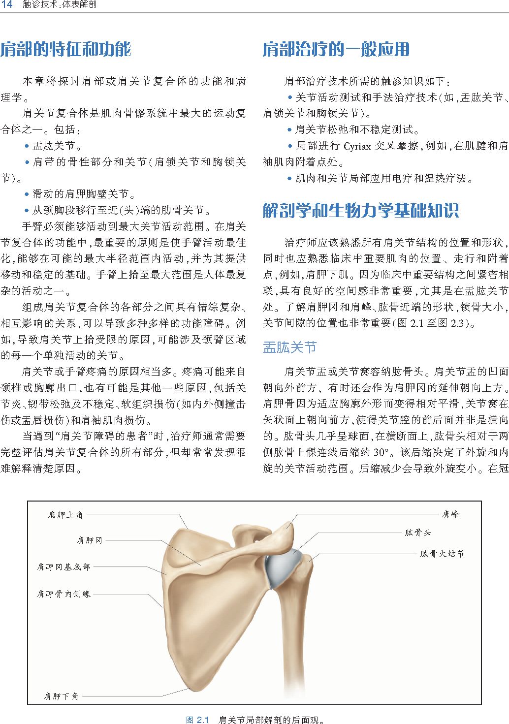 好书推荐｜《触诊技术》——李哲人体科学团队——开年首发