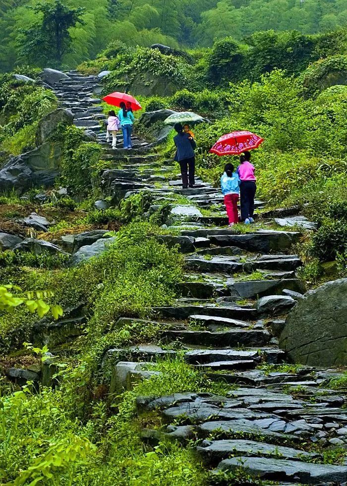 这里是里山！（内含福利）
