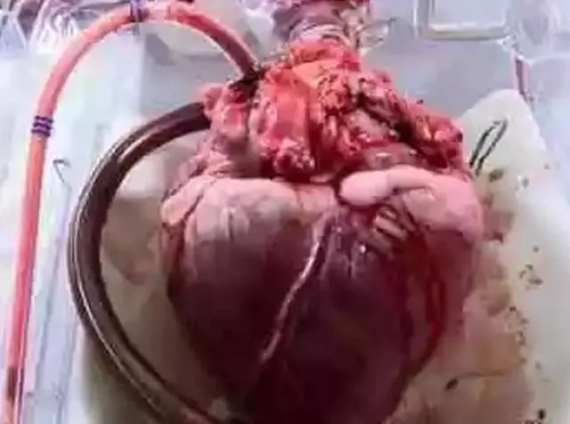 当医学生遇上医生,当医学生遇上期末考试