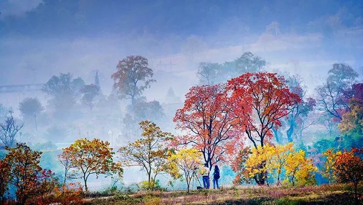 大悟红叶摄影,大悟红叶景区项目