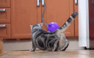 羽绒服脏了教你一招立刻变干净,羽绒服脏了怎么洗掉小窍门