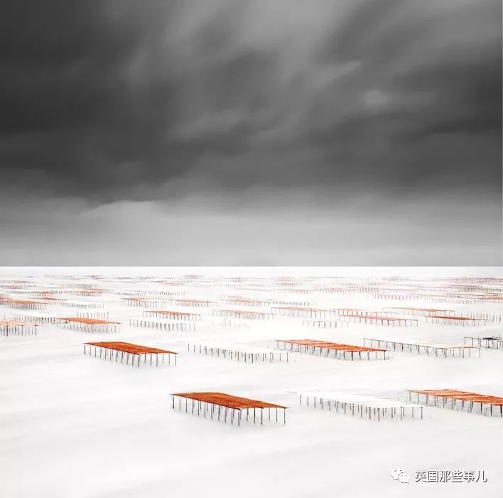 世界索尼摄影大赛作品背后的故事 (2018年索尼摄影大赛获奖作品中国)