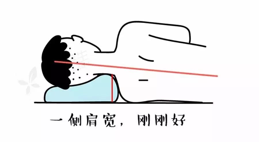 枕头不是用来枕的是用来干嘛的,枕头仅仅是用来枕头的吗