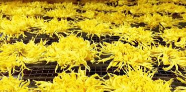 春季养生清肝食物大全图片,春天清肝火明目的食物