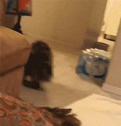 「信息快报」丽江纳美智造招人啦！还有一批岗位等你来