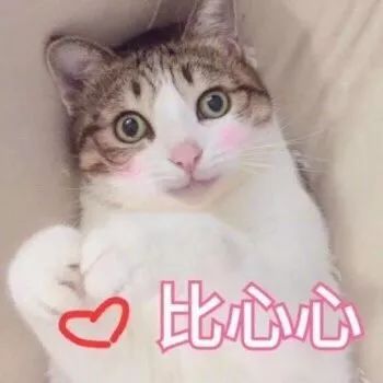 64金46银56铜！市锦标赛落幕，荔湾健儿们燃爆了！