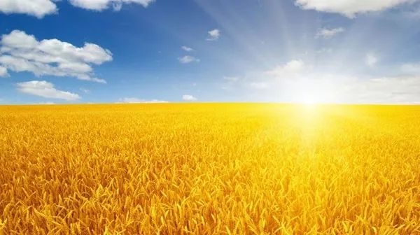 金融支持三农发展,信贷支持三农的政策文件