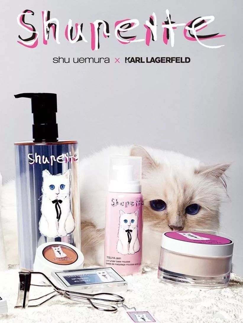 老佛爷的所有家产最后留给了猫 (老佛爷的猫死后谁来继承他的遗产)